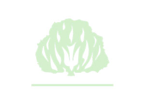 ip-ipb-logo-generico